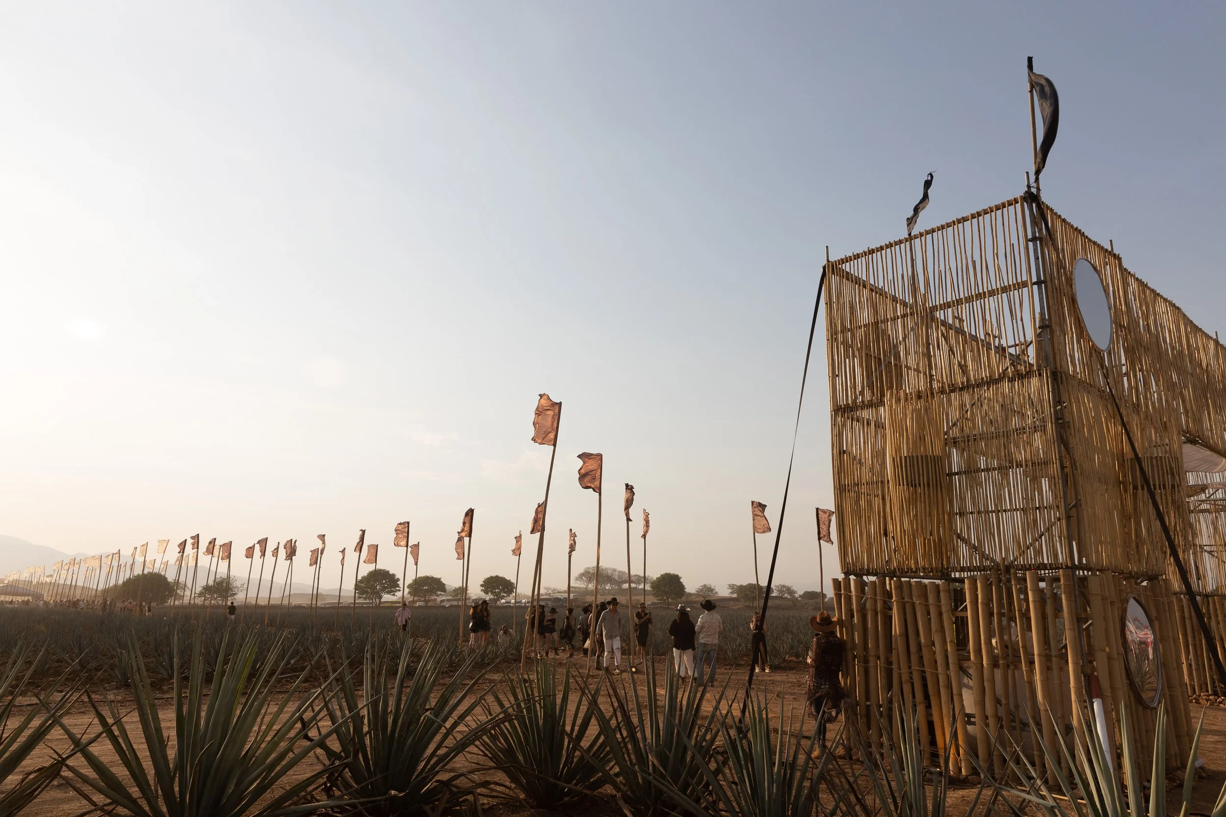 Akamba: Música entre agaves