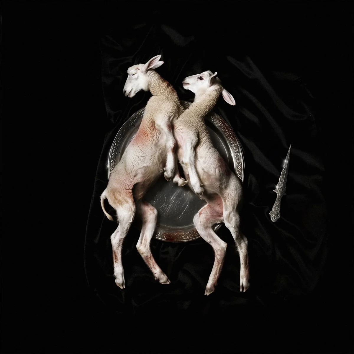 Portada del disco Scarlet Lamb de yubè pinku.