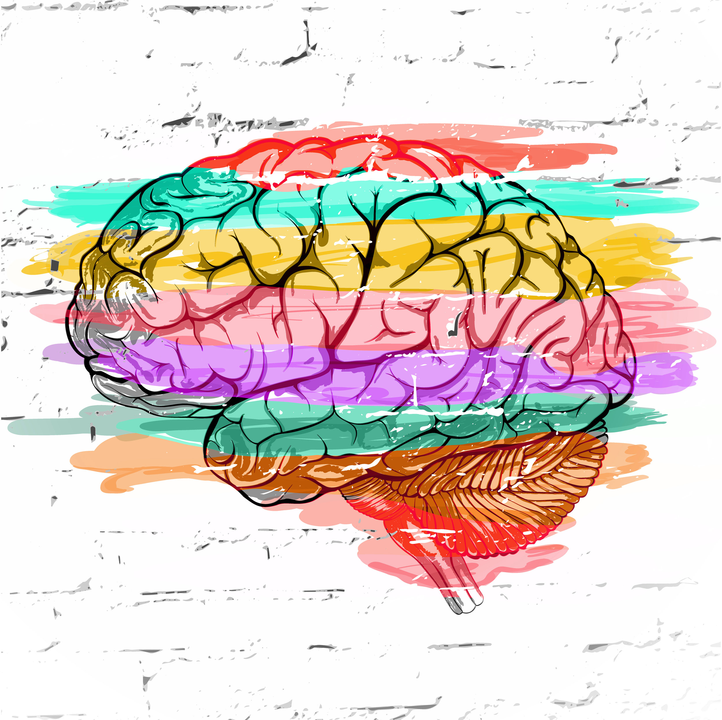 Image courtesy of Shutterstock