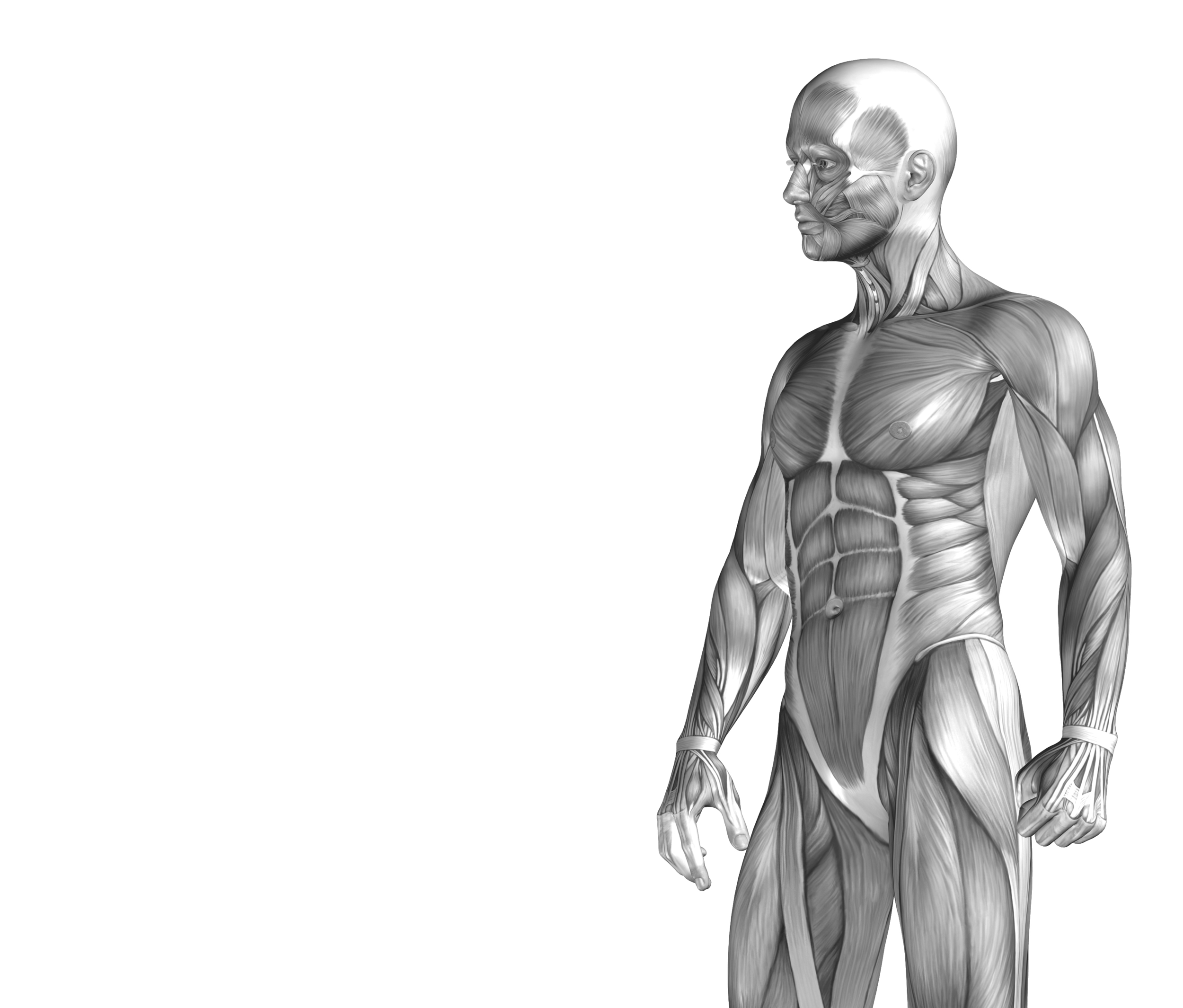 Lotus Massage and BodyworksLotus Massage and Body Works Hickory NC