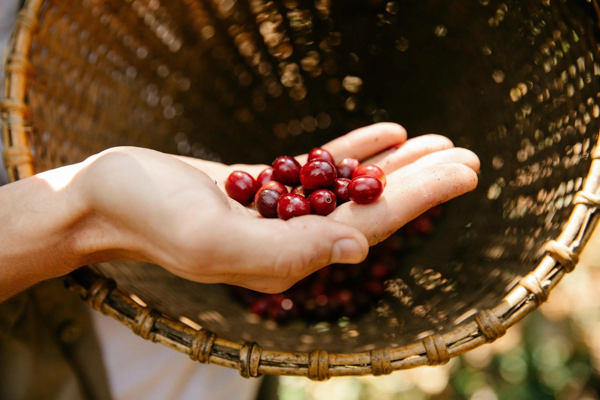 Hidden Health Benefits of Coffee 