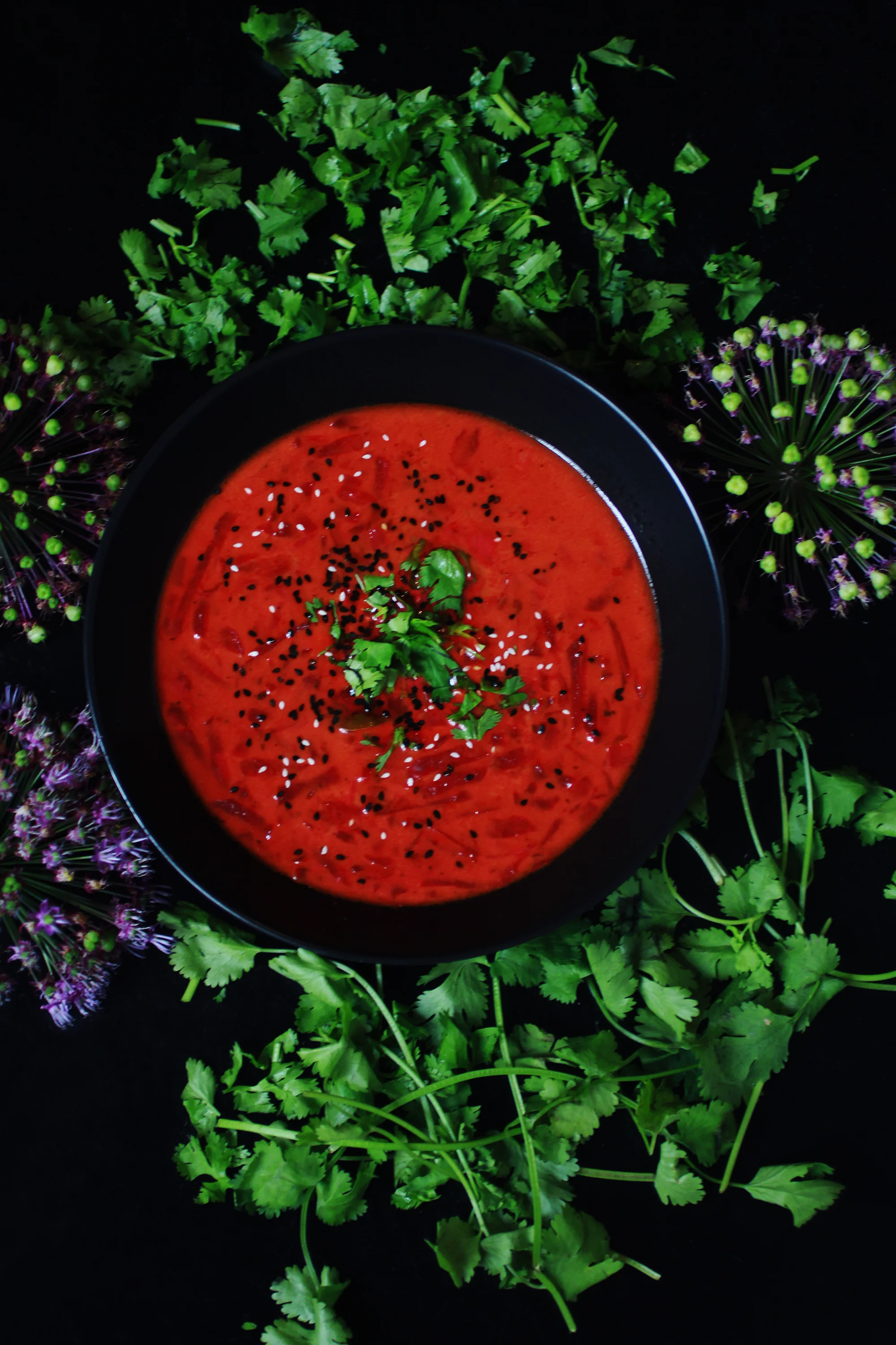 red_beet_soup1_s.jpg
