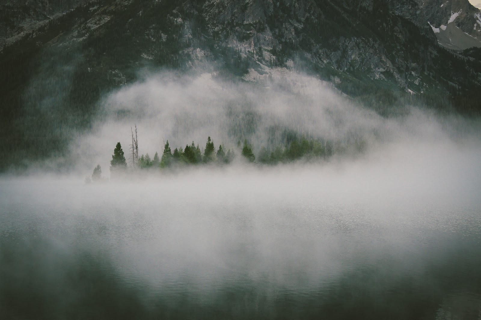dustin-scarpitti-967-unsplash.jpg