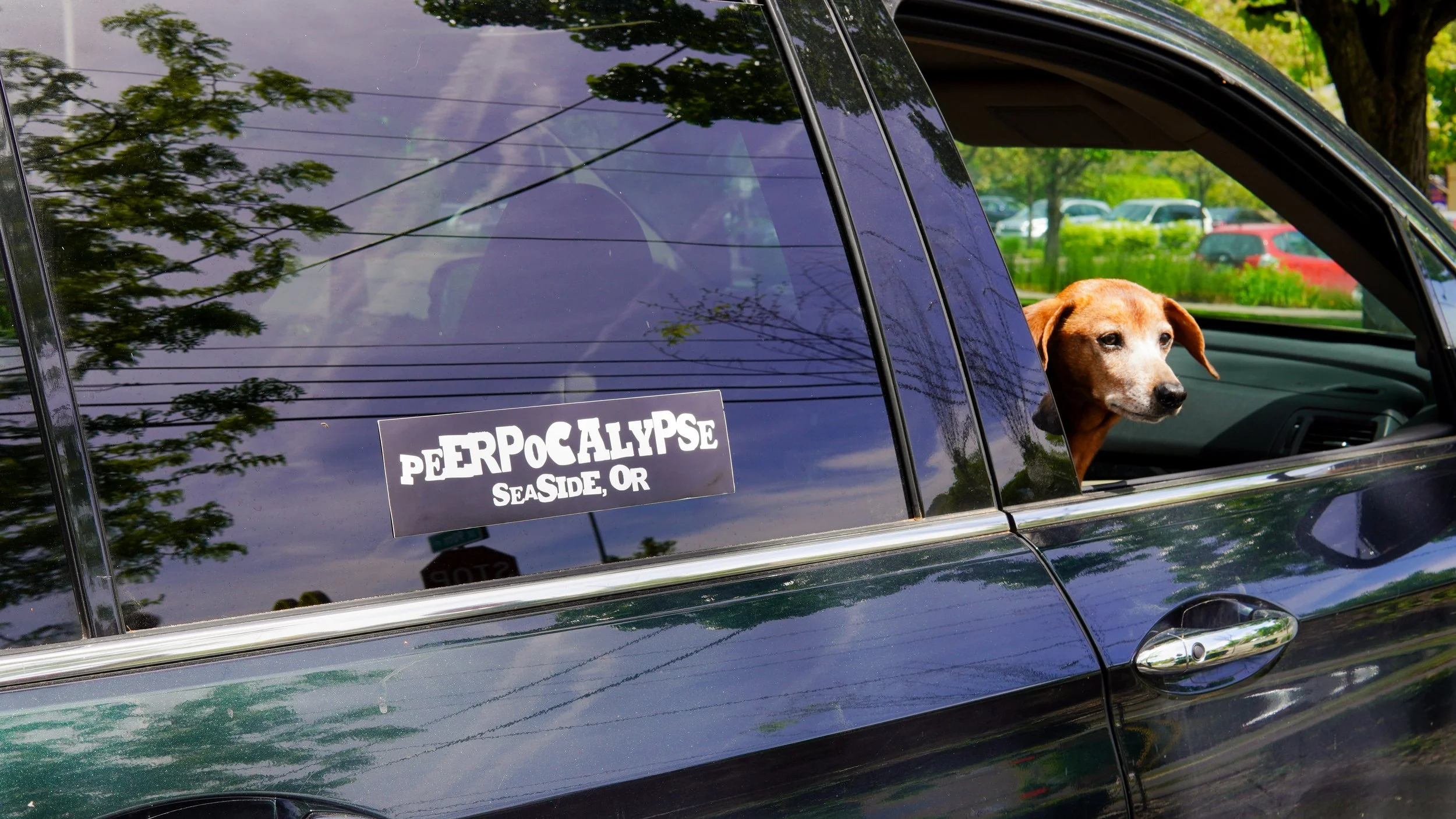 TPC_P26_Merch_Cont6.jpg