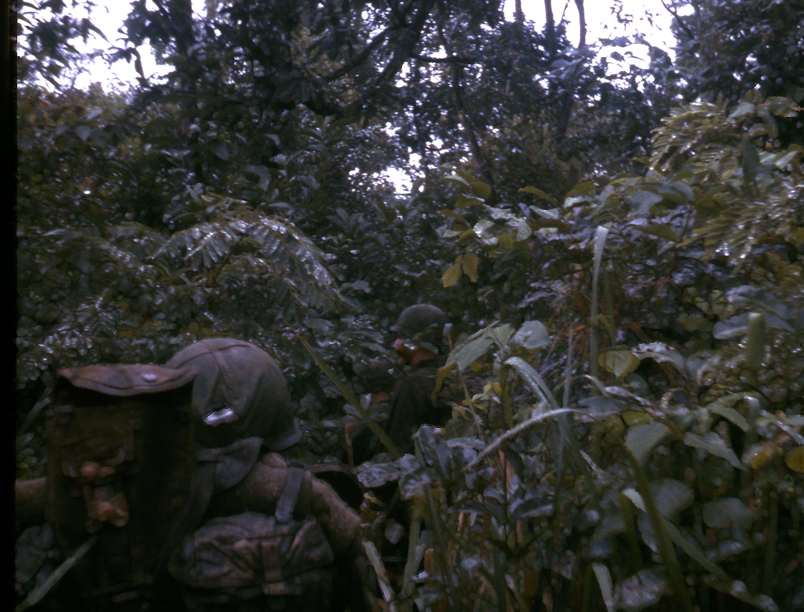 19670622-24 Jungle Patrol Near LZ Jade 16.jpg