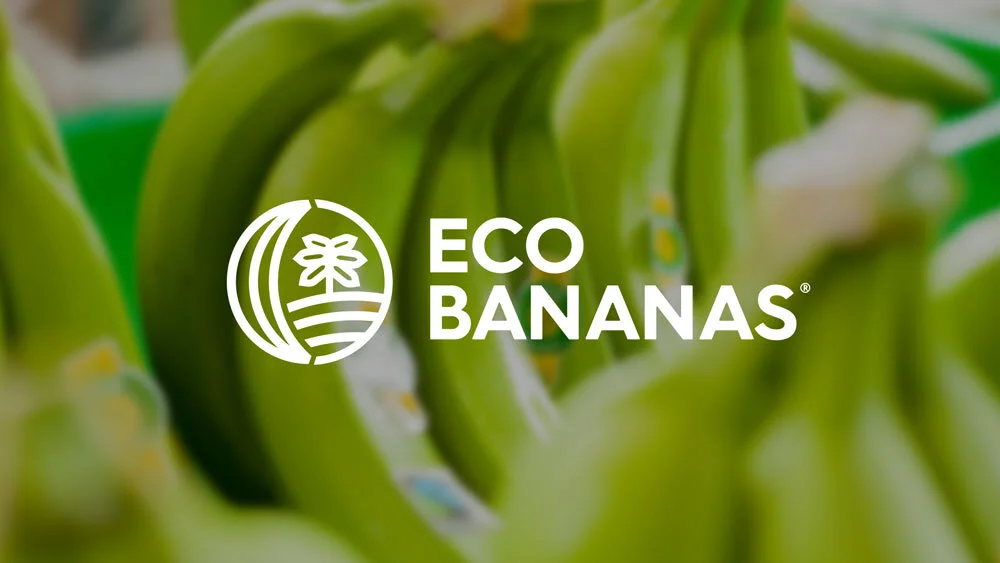 Eco Bananas: Identity and packaging