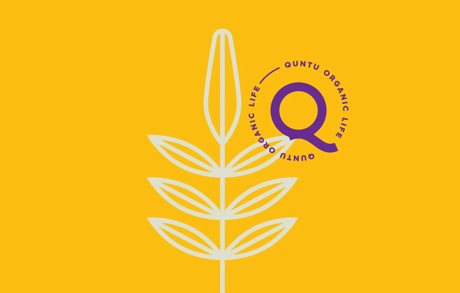 QUNTU-04.jpg