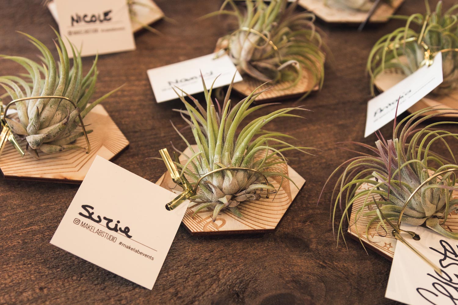 Hanging air plant holders designed by guests