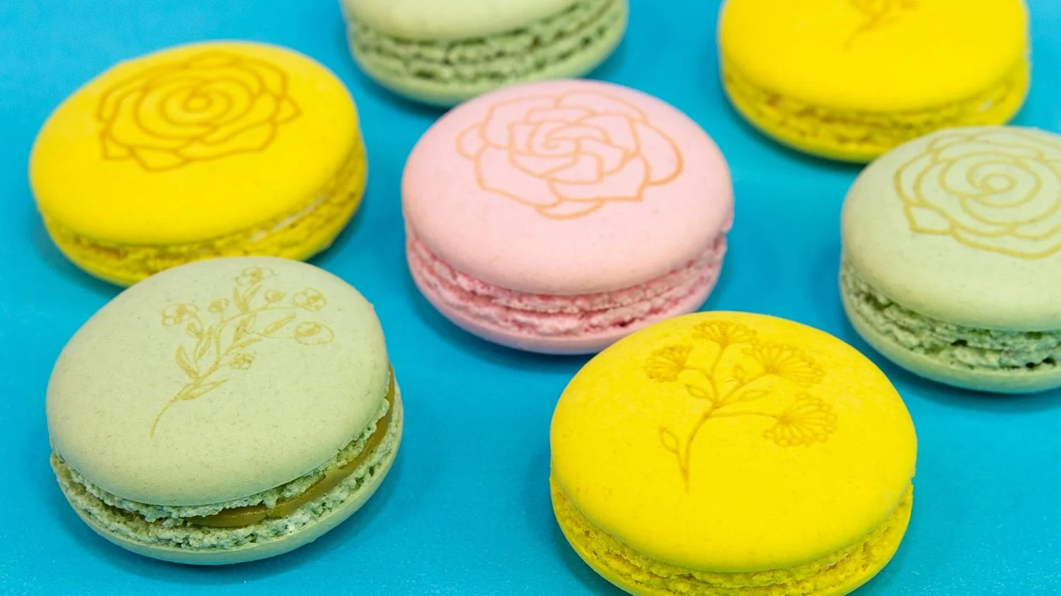 Macarons-SpringFling-WEB-6964.jpg