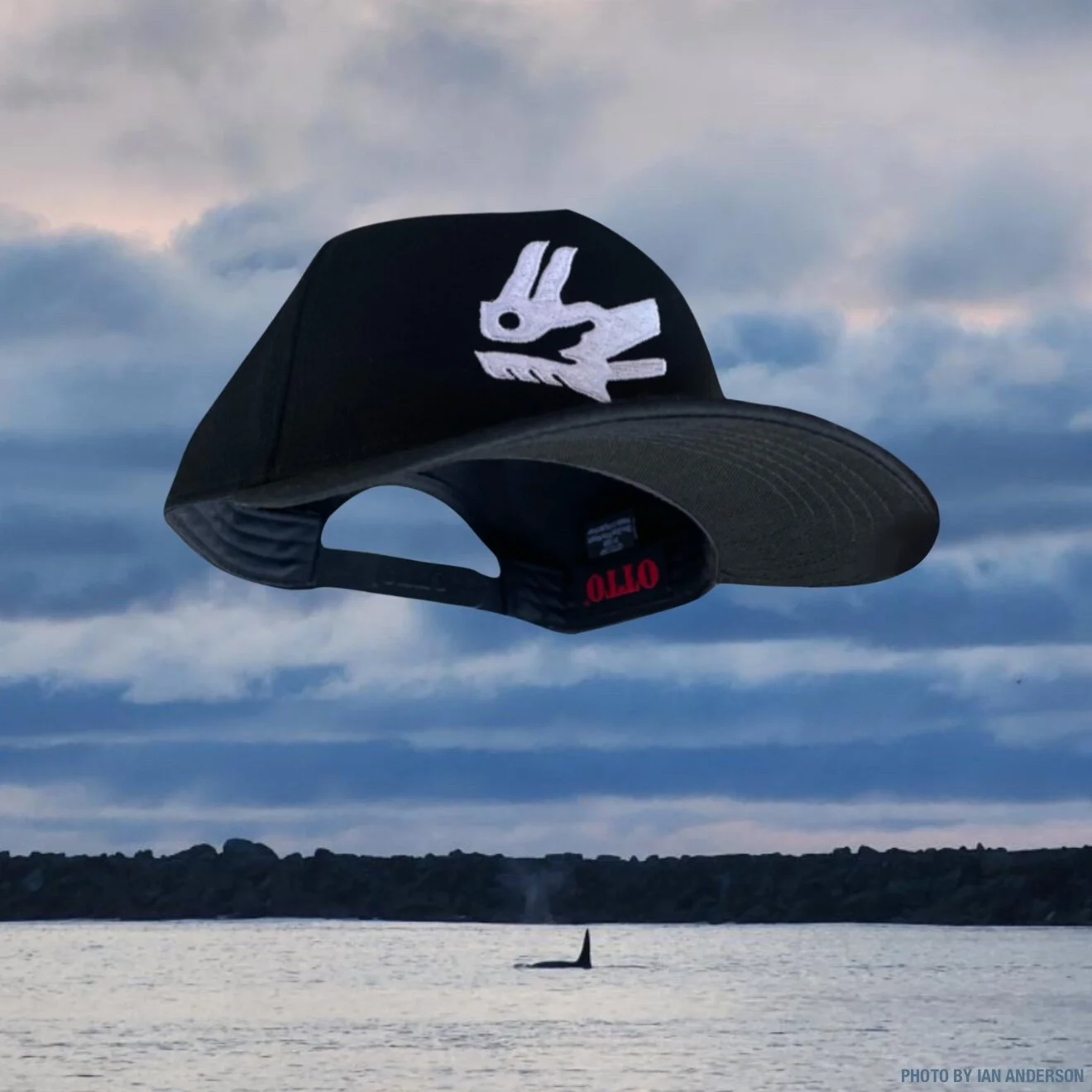 2254F8DF-8D1D-4CC2-AEDD-ABFE765E9B64