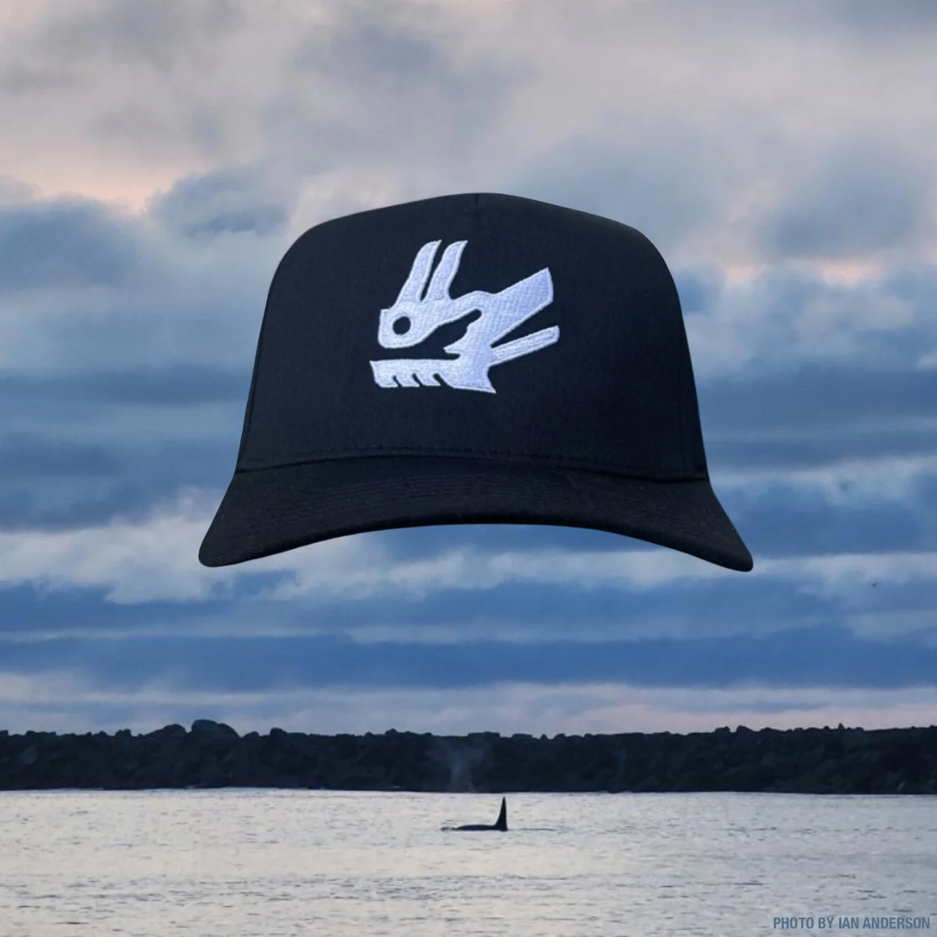 9428099D-A31B-40B1-8EF6-2B3953D47EF4