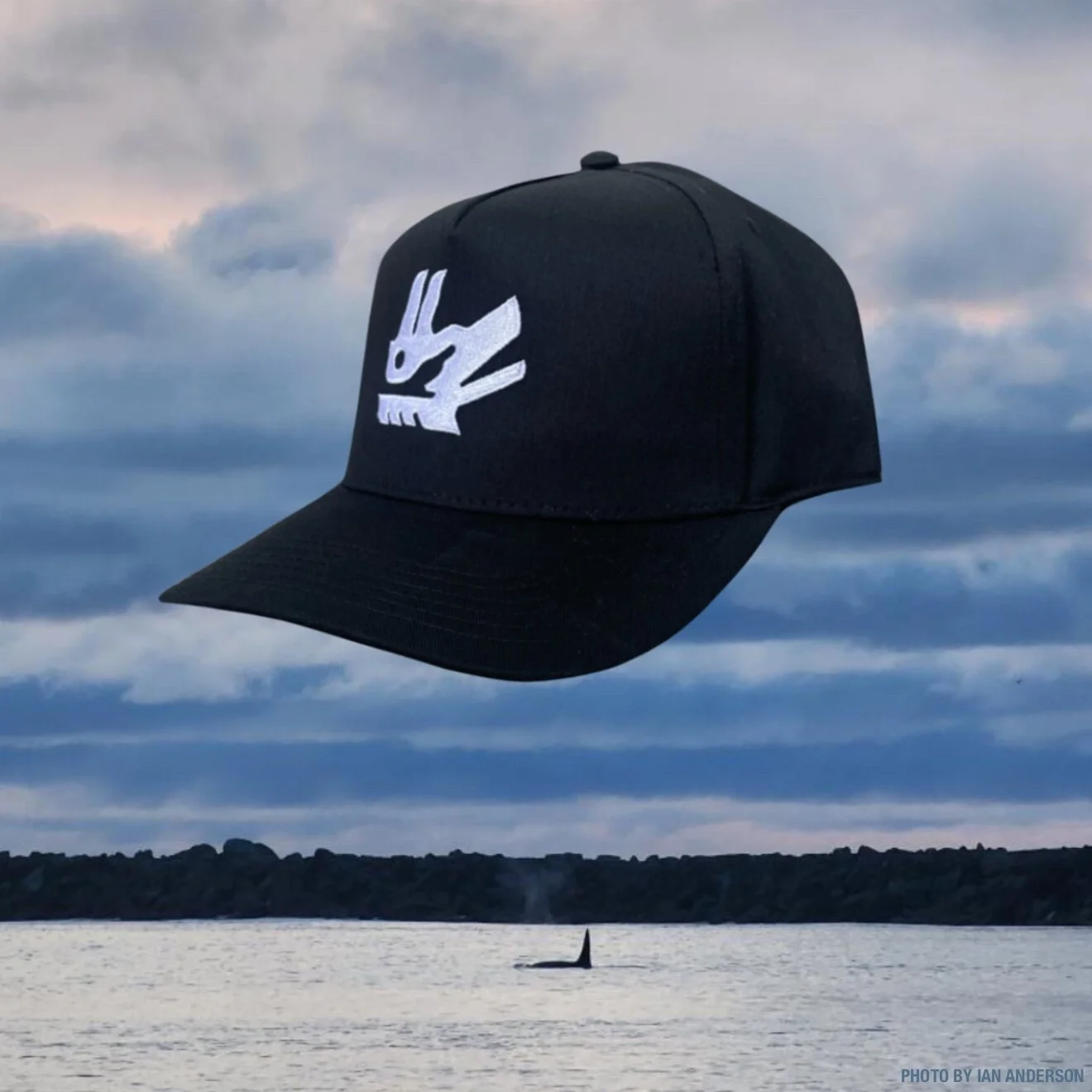 8C813995-C2E6-467C-A75B-1DB4A8C8863A