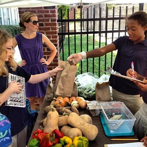 Hardy-garden-market.jpg