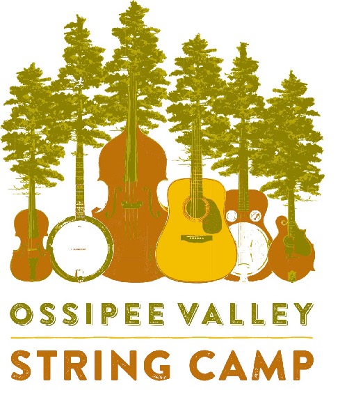 stringcamp.jpg