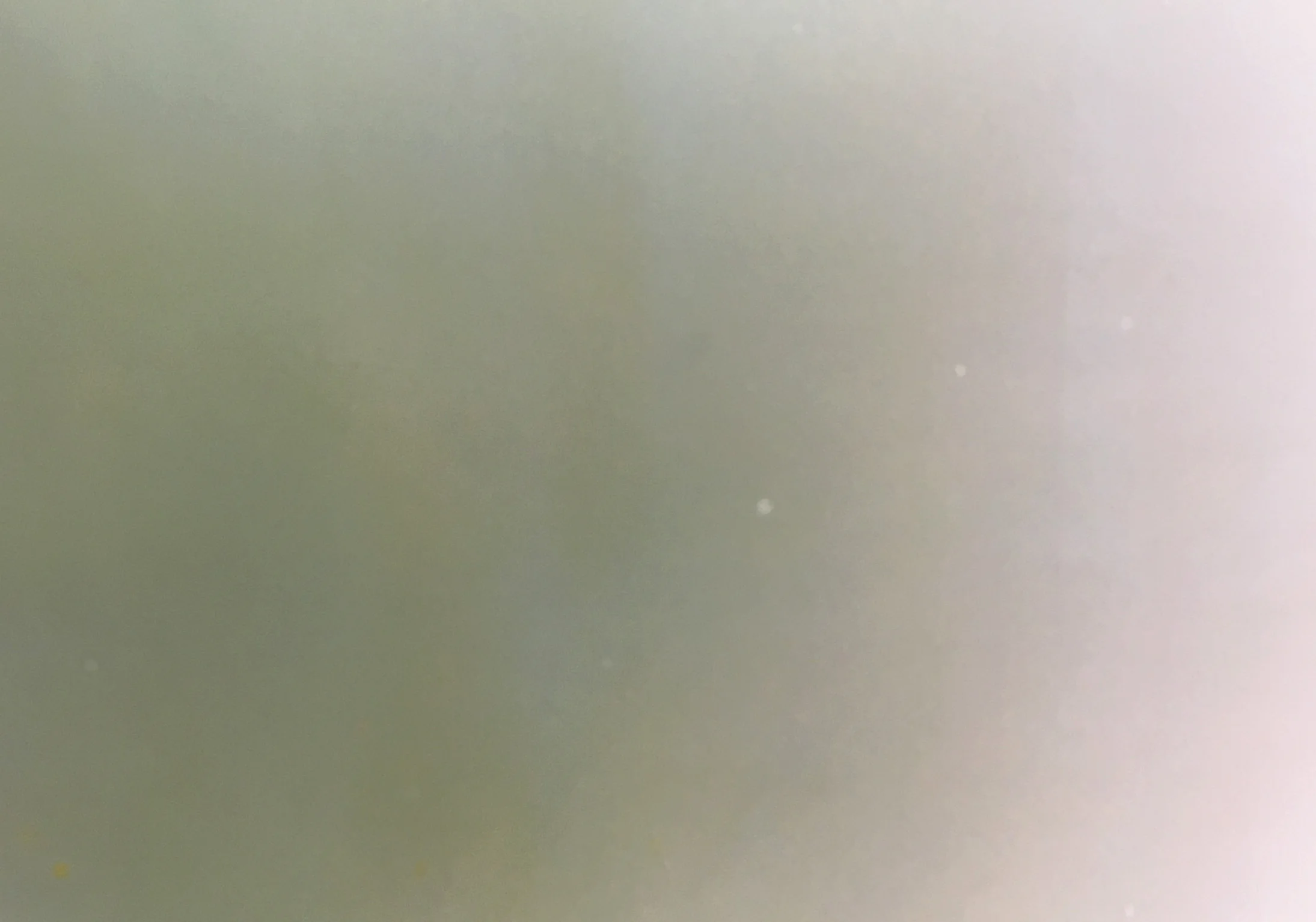 Suspense (2019), detail