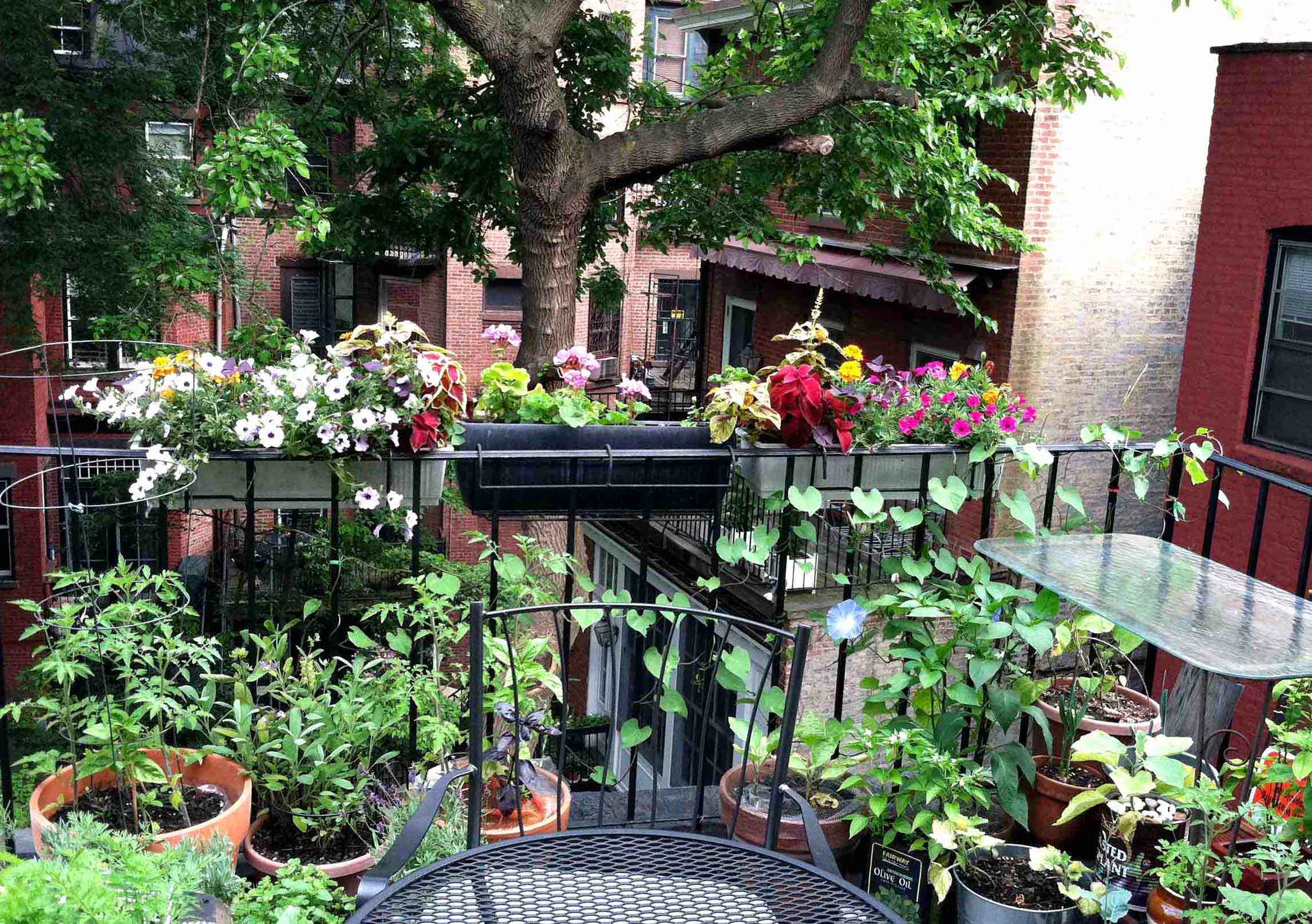 BK_Terrace 3_small.jpg