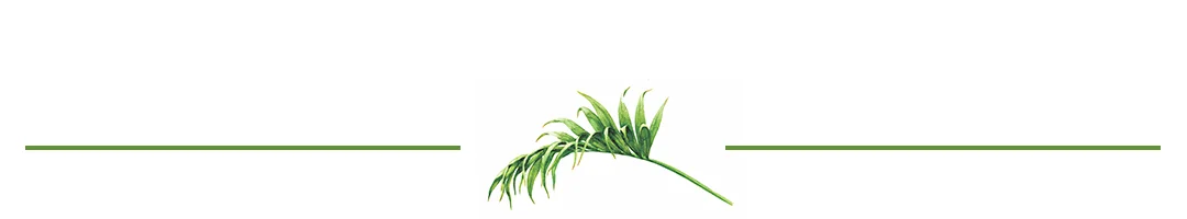 leaf divider 1.jpg