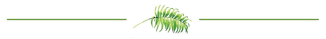 leaf divider 2.png