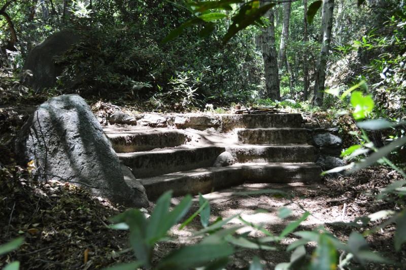A mountain house foundation, Big Santa Anita Canyon, San Gabriel Mountains, CA