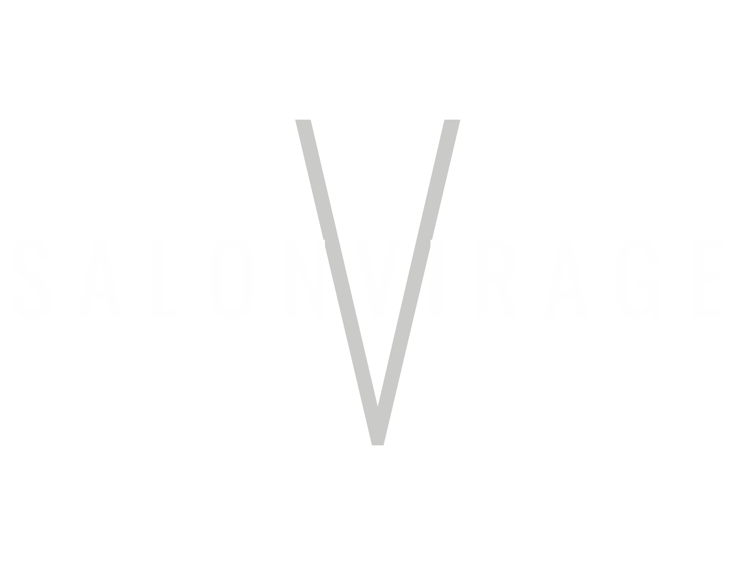 Salon Virage