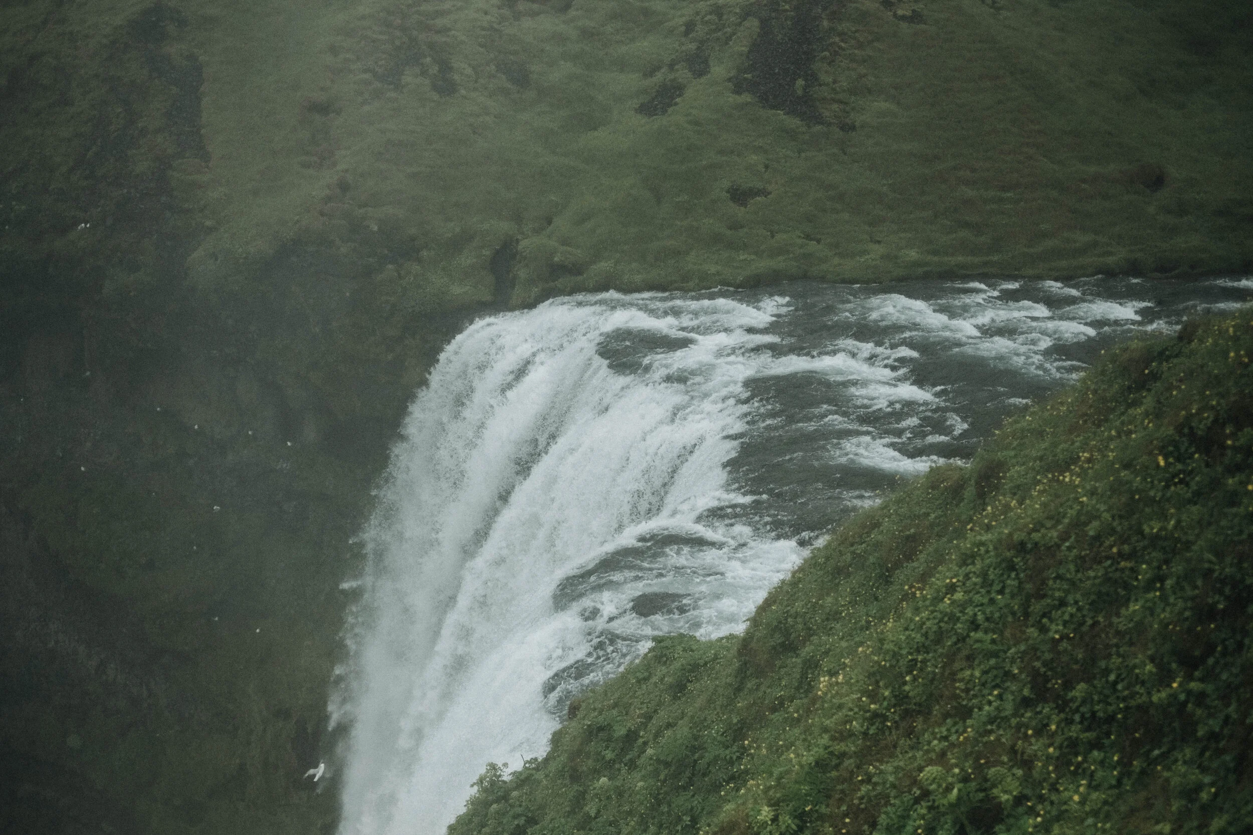 DSCF1837.jpg