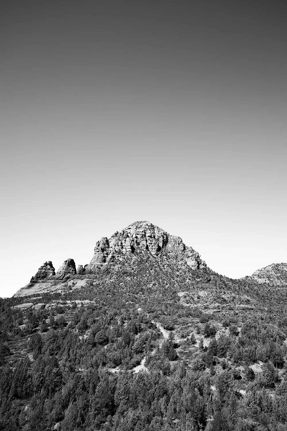 sedona1web.jpg