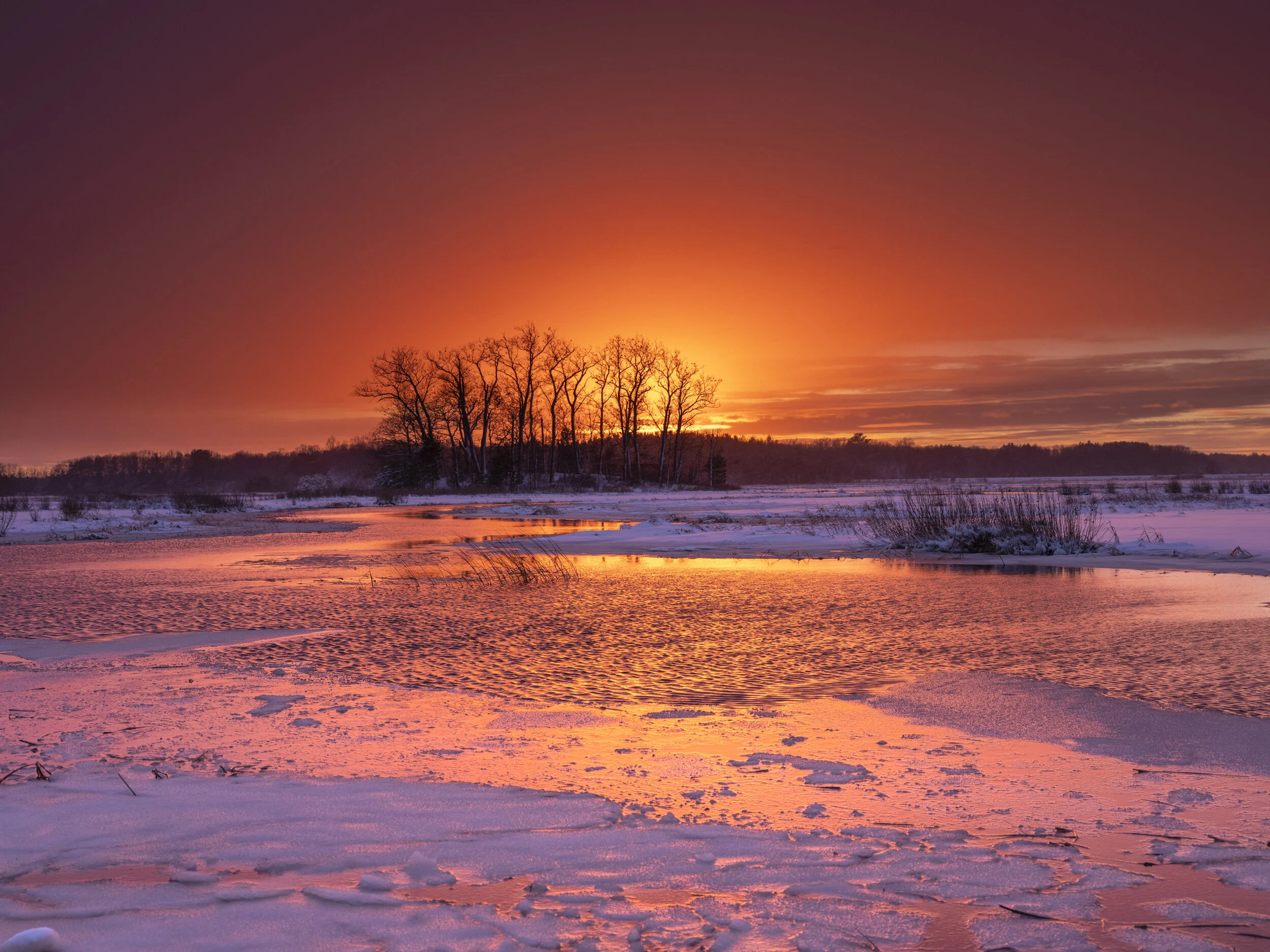DSCF1740.jpg
