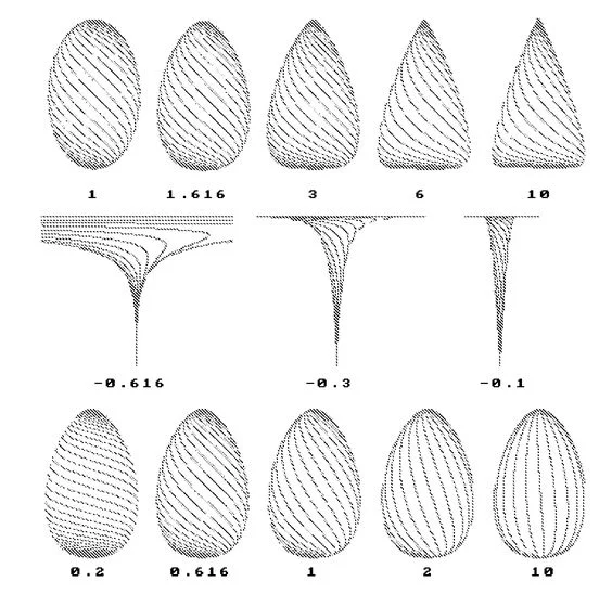 Vortex Studies - Viktor Schauberger