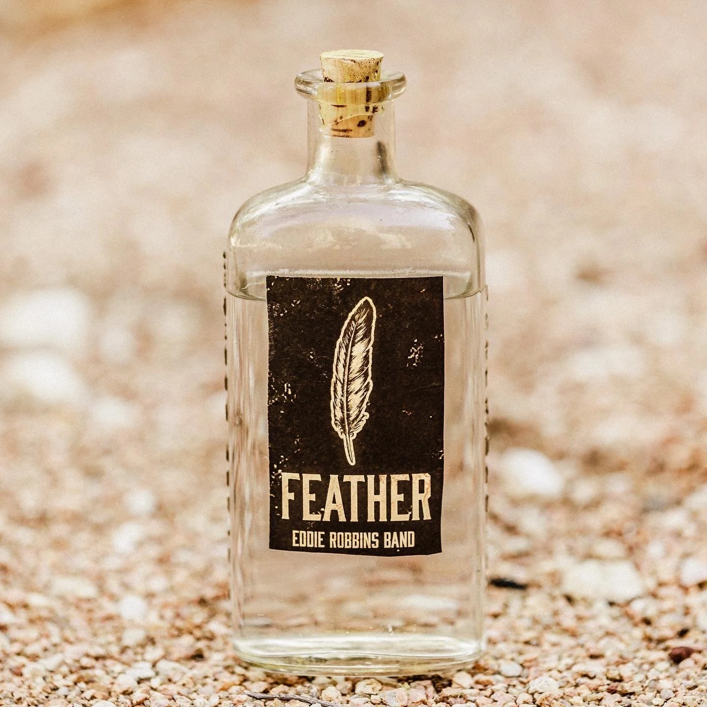 New Single "Feather" by Eddie Robbins Band out October 14th Via Artist Formula