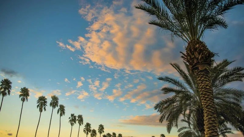 Palm-Springs-with-Kids-View-Photo-Courtesy-of-Greater-Palm-Springs-CVB-800x450.jpg
