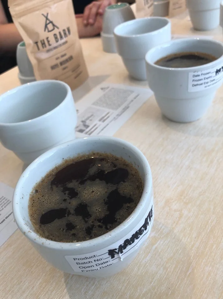cupping 3.jpg