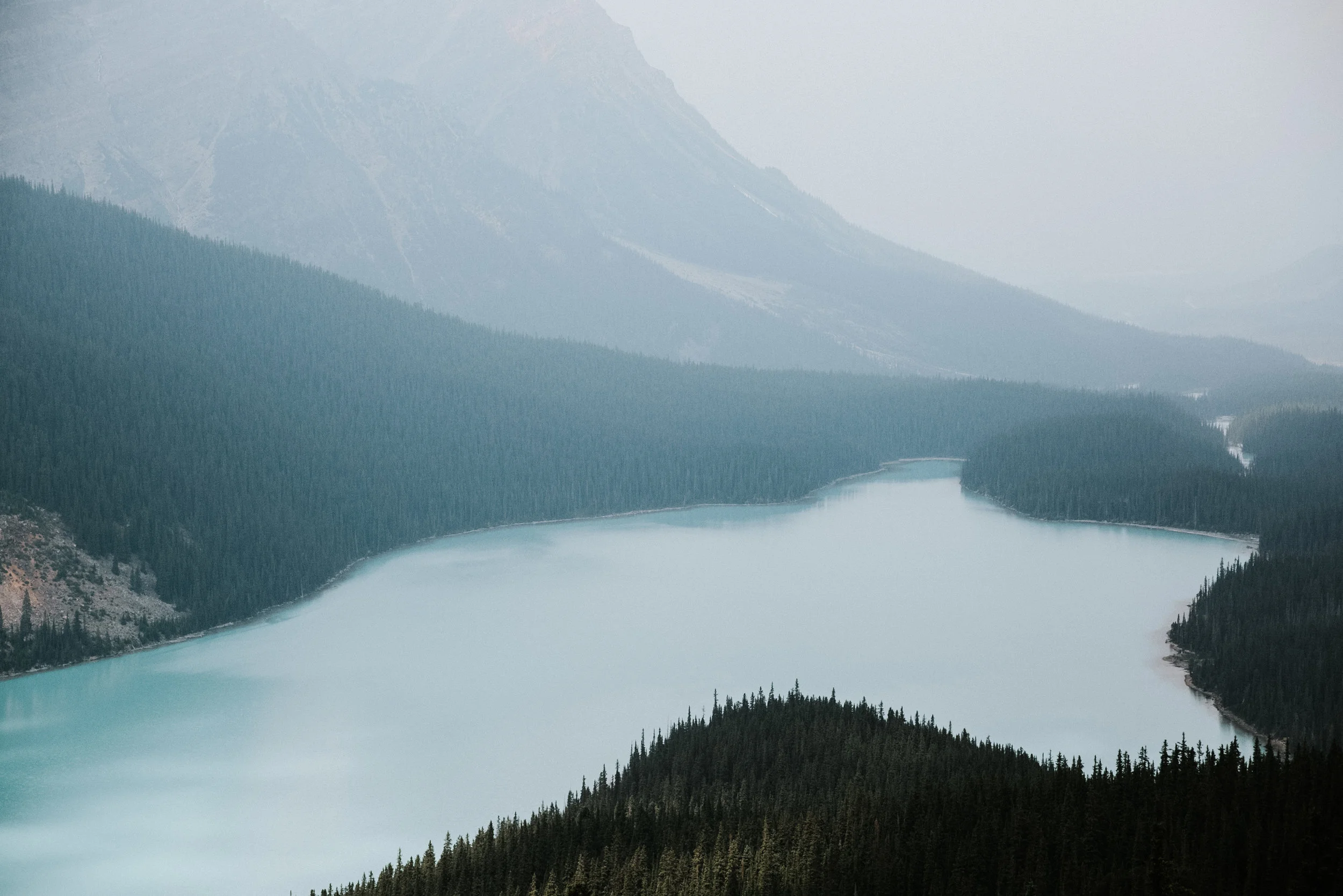 _Y9A9268-2.jpg