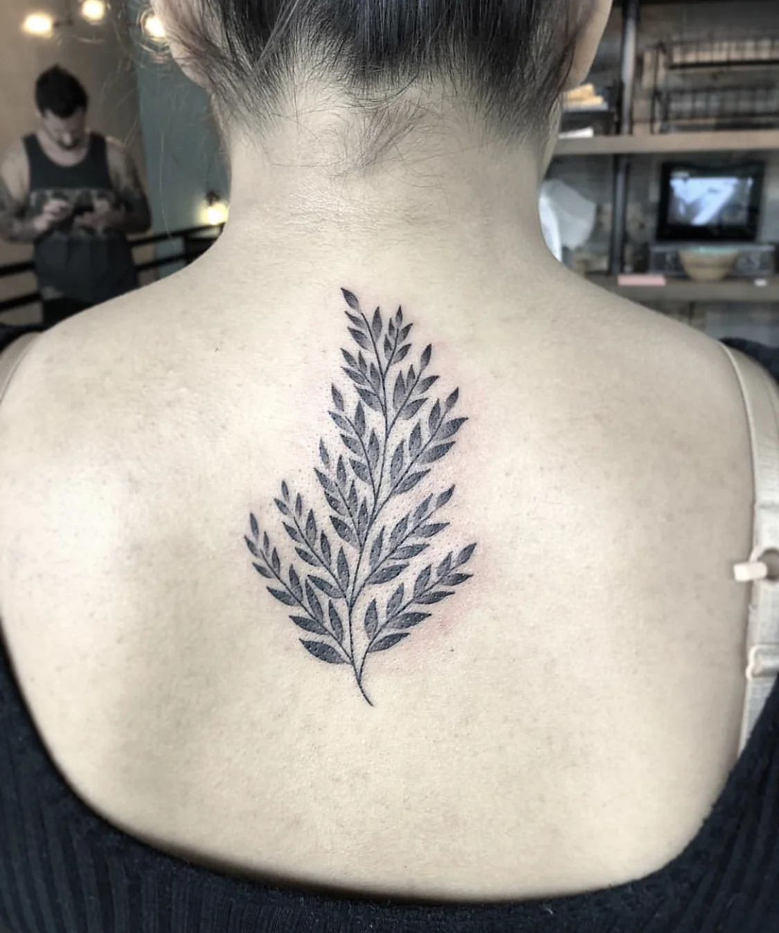 Fern