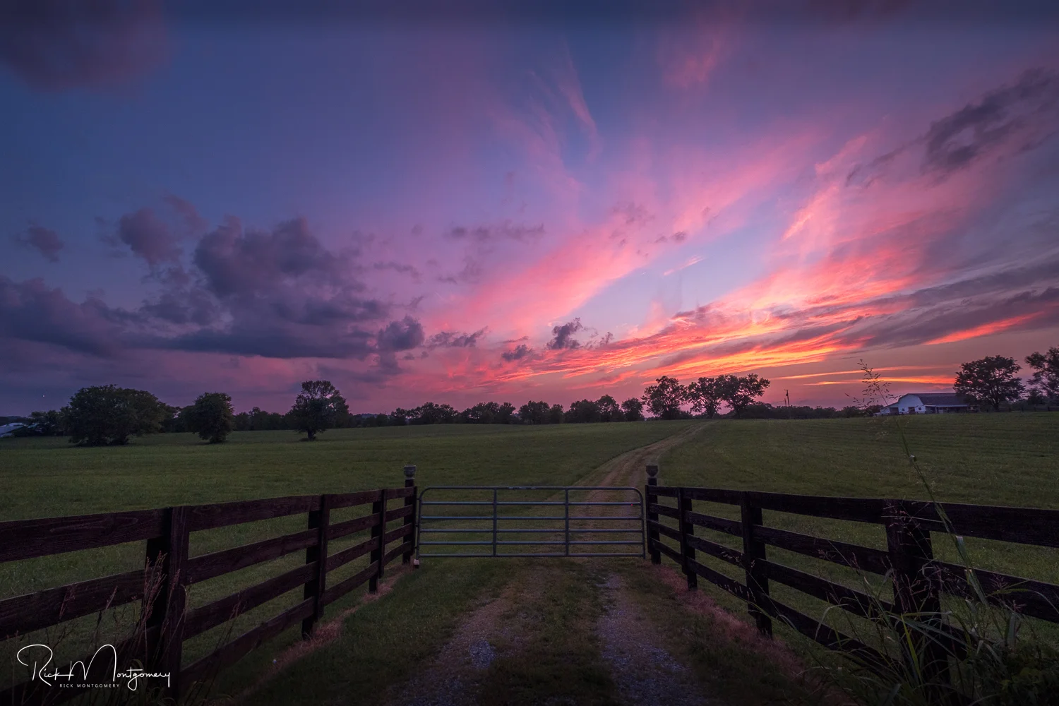 farm-magenta-sunset.jpg