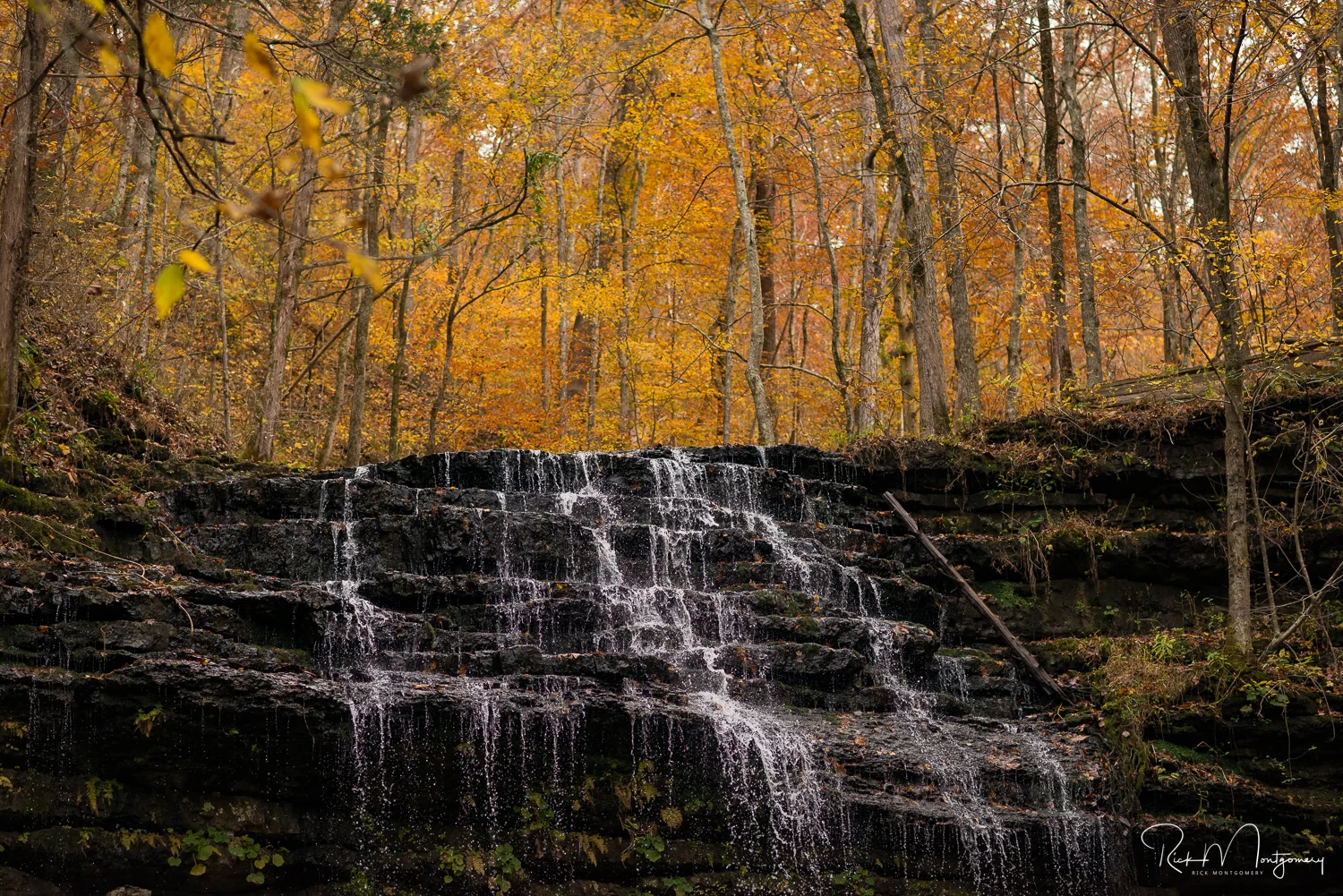 stillhou-falls.jpg