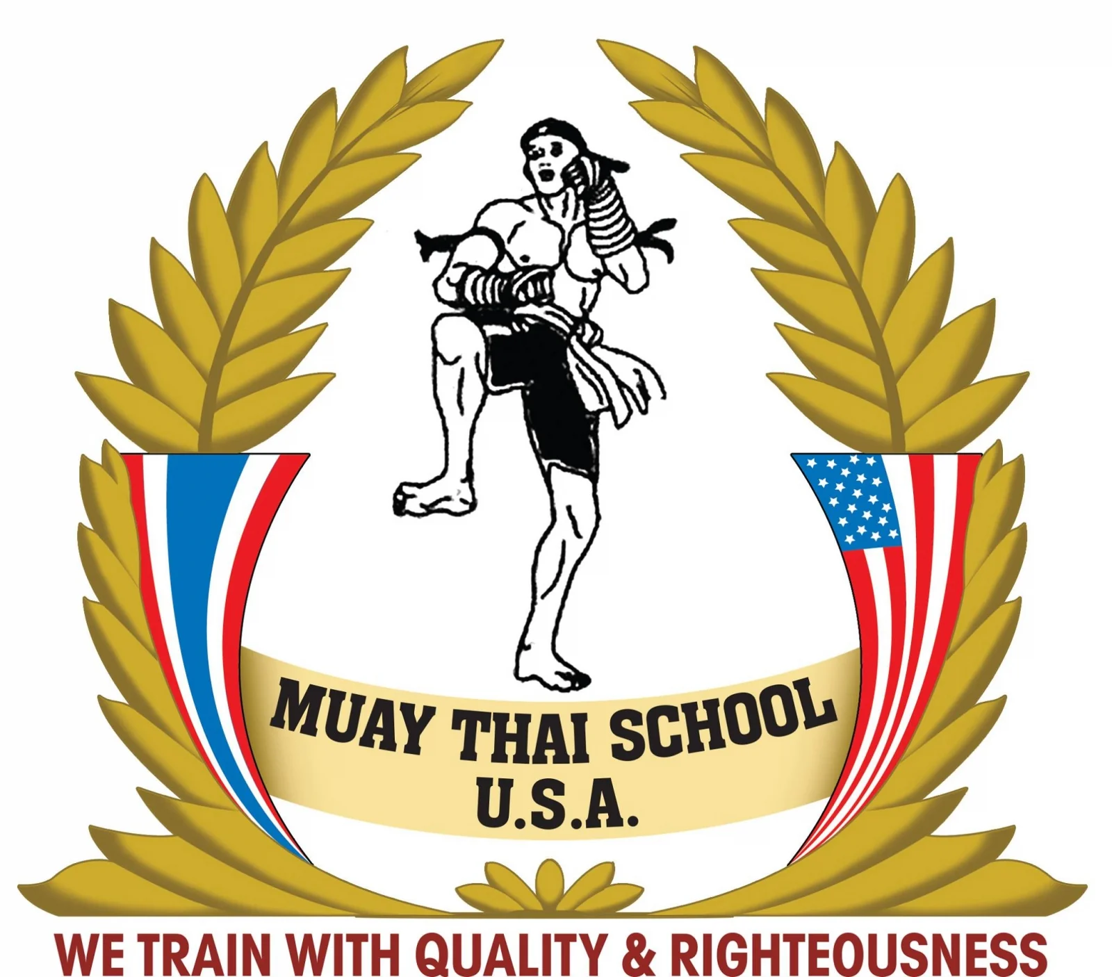 Muay thai school usa gloves muay thai school usa