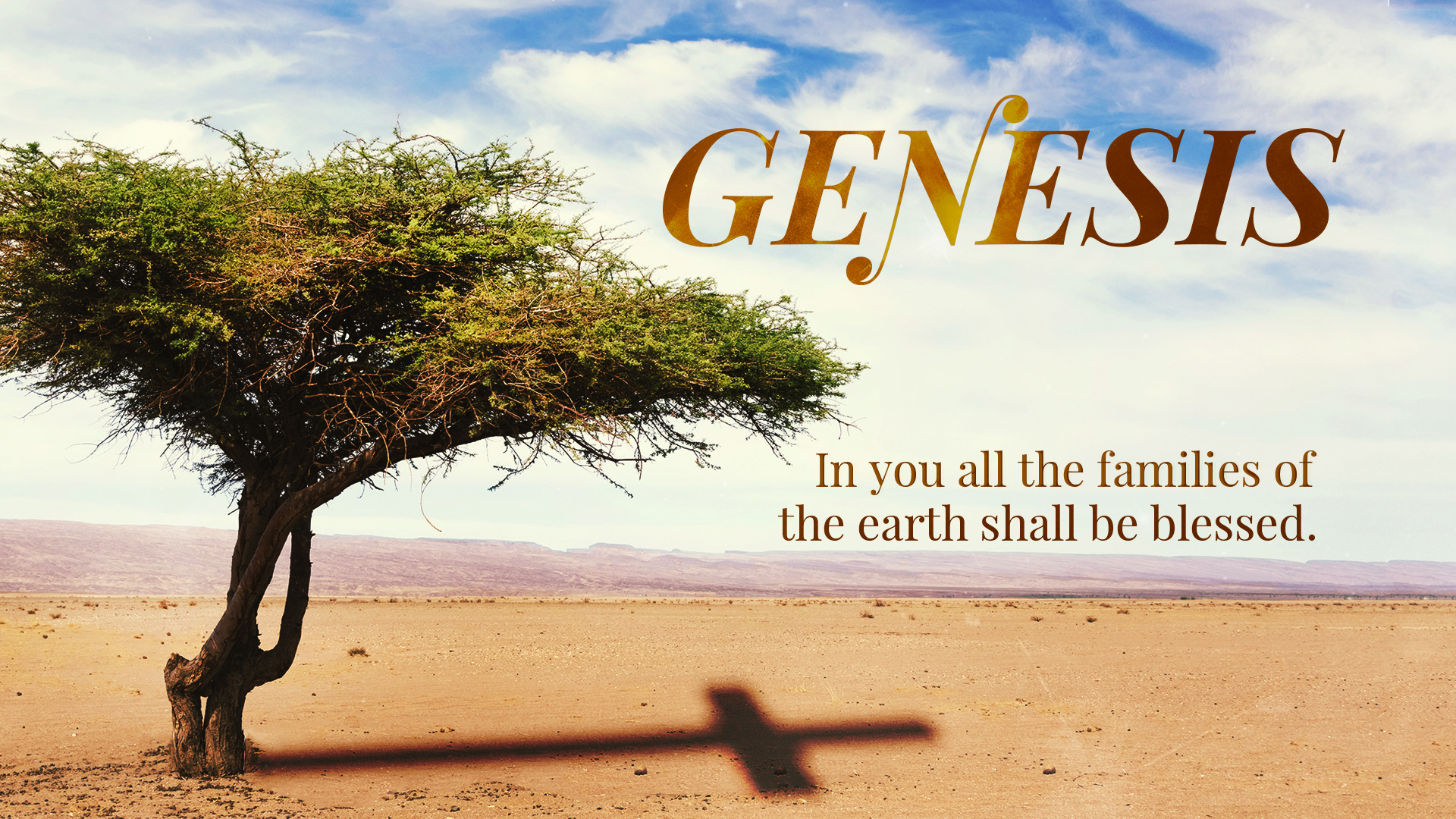 Genesis Part 2 Sermons (Copy)