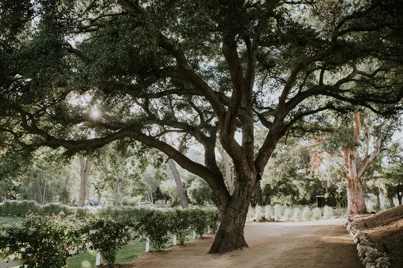poppyhillflowers.com | Emily Morgan Photography | Brookview Ranch Weddings | Poppyhill Flowers | Southern California Wedding Florist and Floral Designer _ (27).jpg
