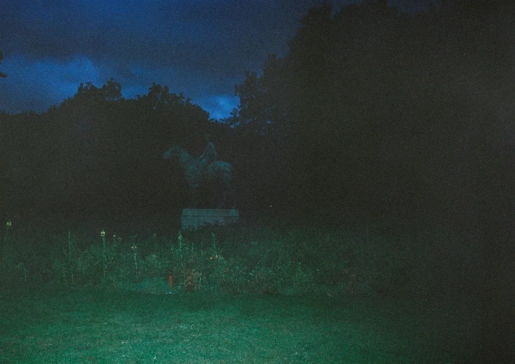 image1190.jpg