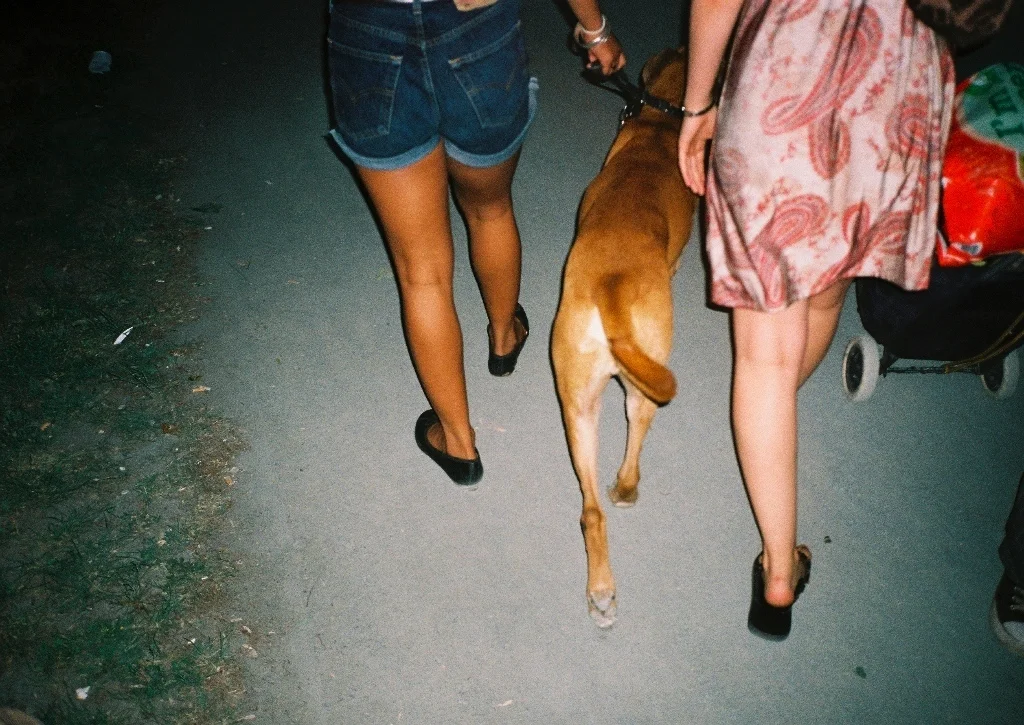 image1386.jpg