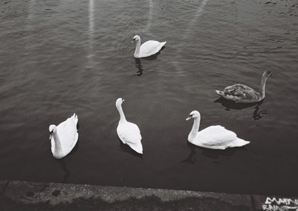 image2094.jpg