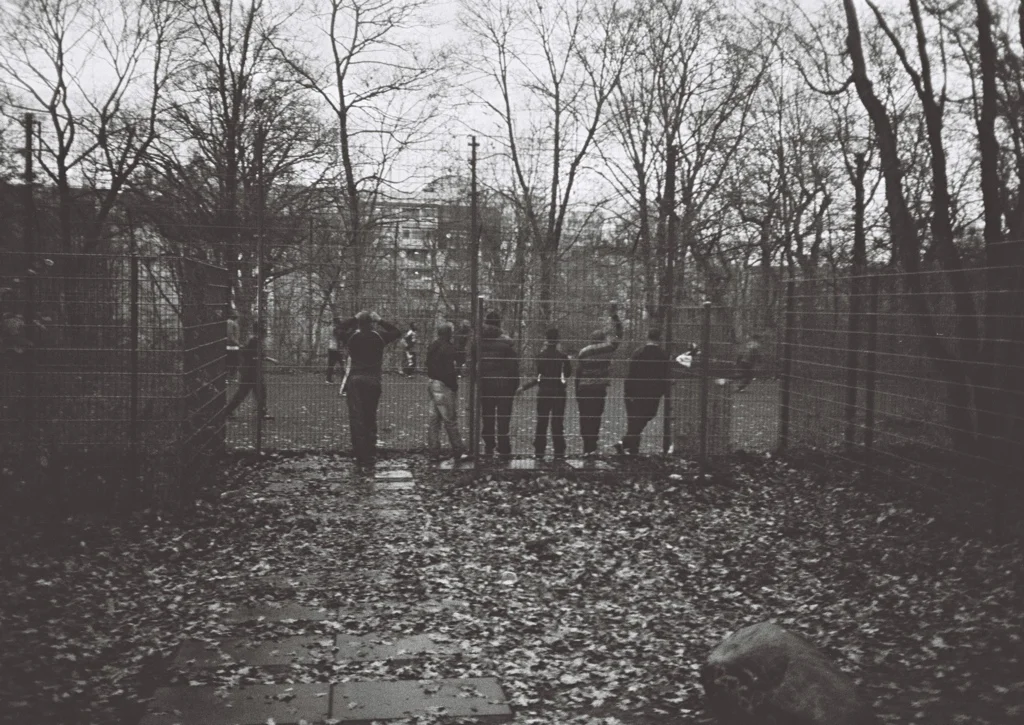 image2093.jpg