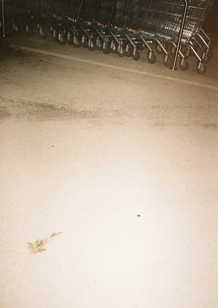 image2212.jpg