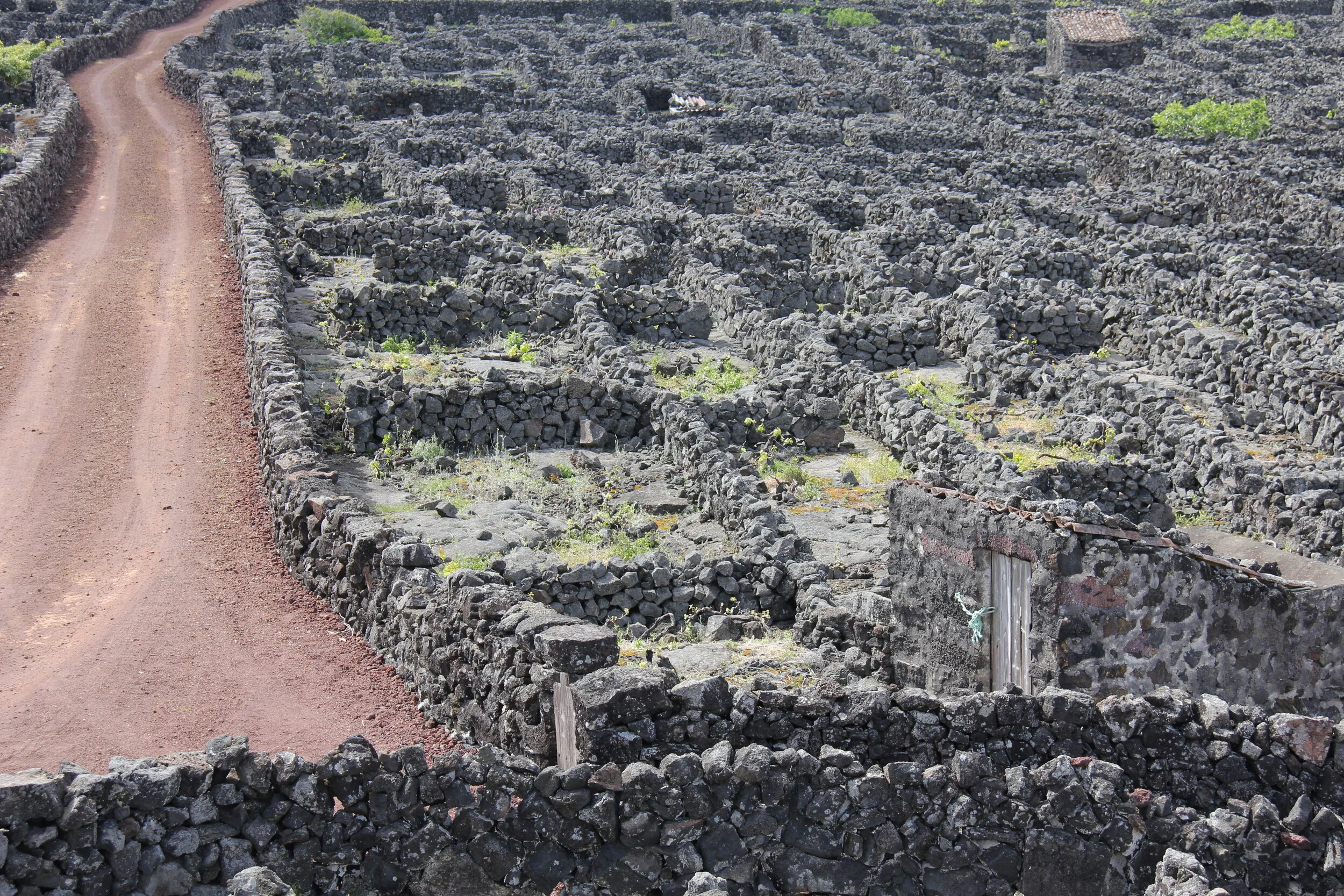 L’intelligence spatiale, pour explorer plus vite et plus fort les logiques du social