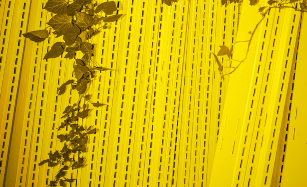 "LieuX" à Genève au Centre Maurice Chalumeau en sciences des sexualités, une exposition menée et programmée avec Laurent Matthey et Marlène Leroux