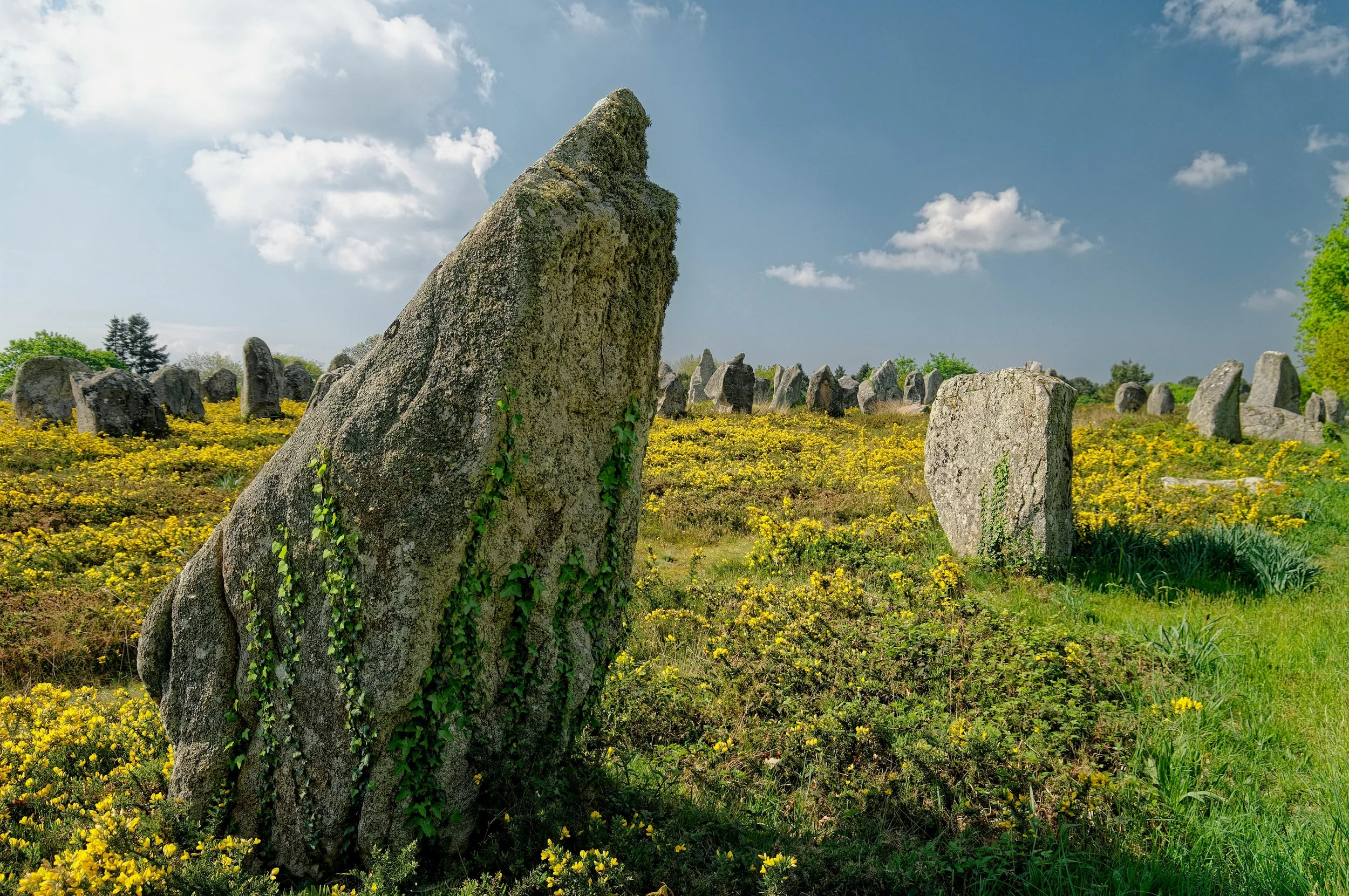 Du monument au patrimoine : les mégalithes de Carnac classés à l'Unesco