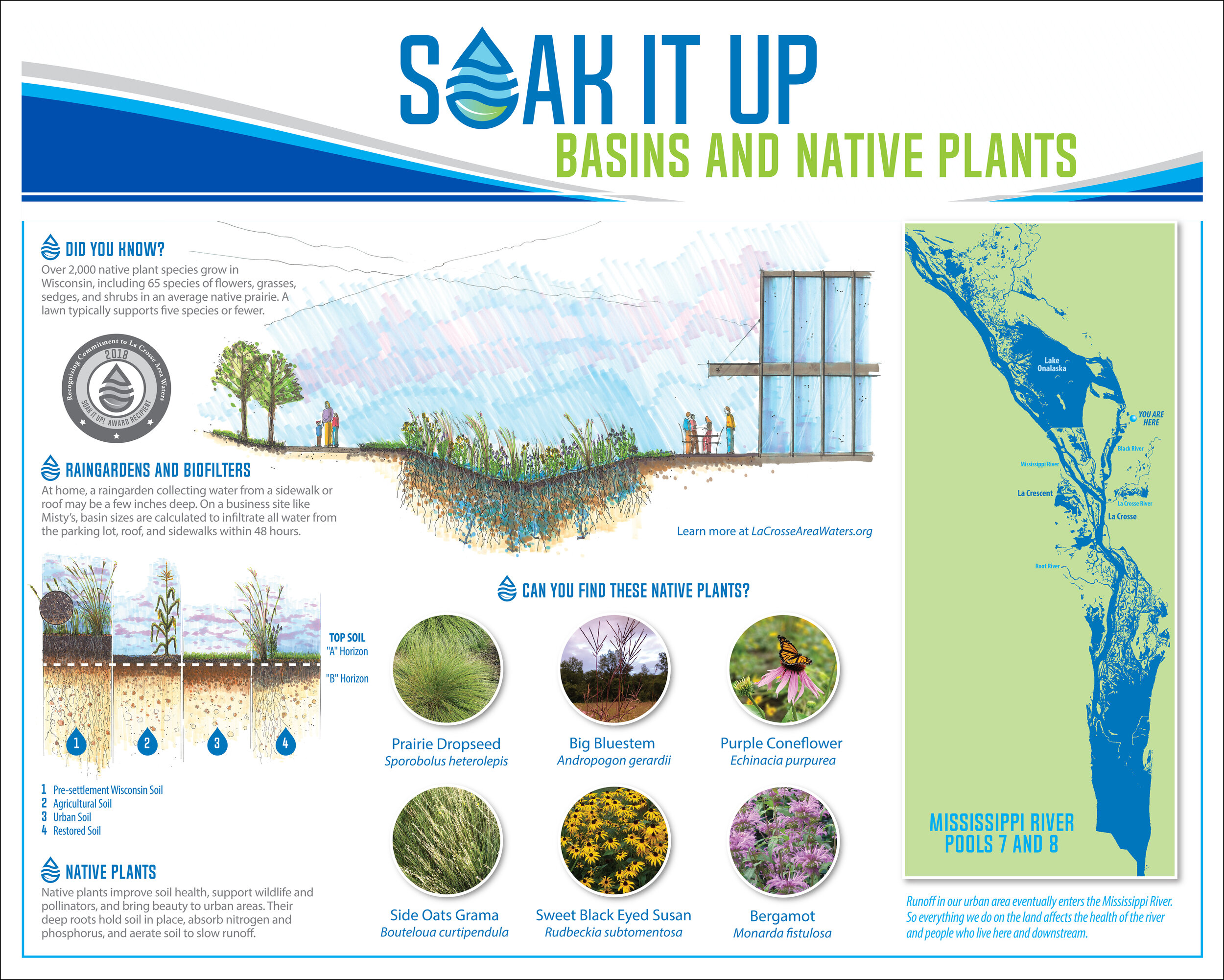 SOAK IT UP - Interpretive Sign
