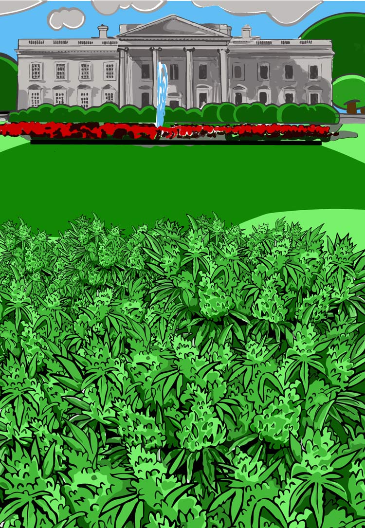 ncf420STORY-BACKGROUND-ONLYArtboard-1.jpg