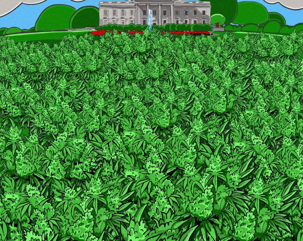 ncf420-bgimage.jpg