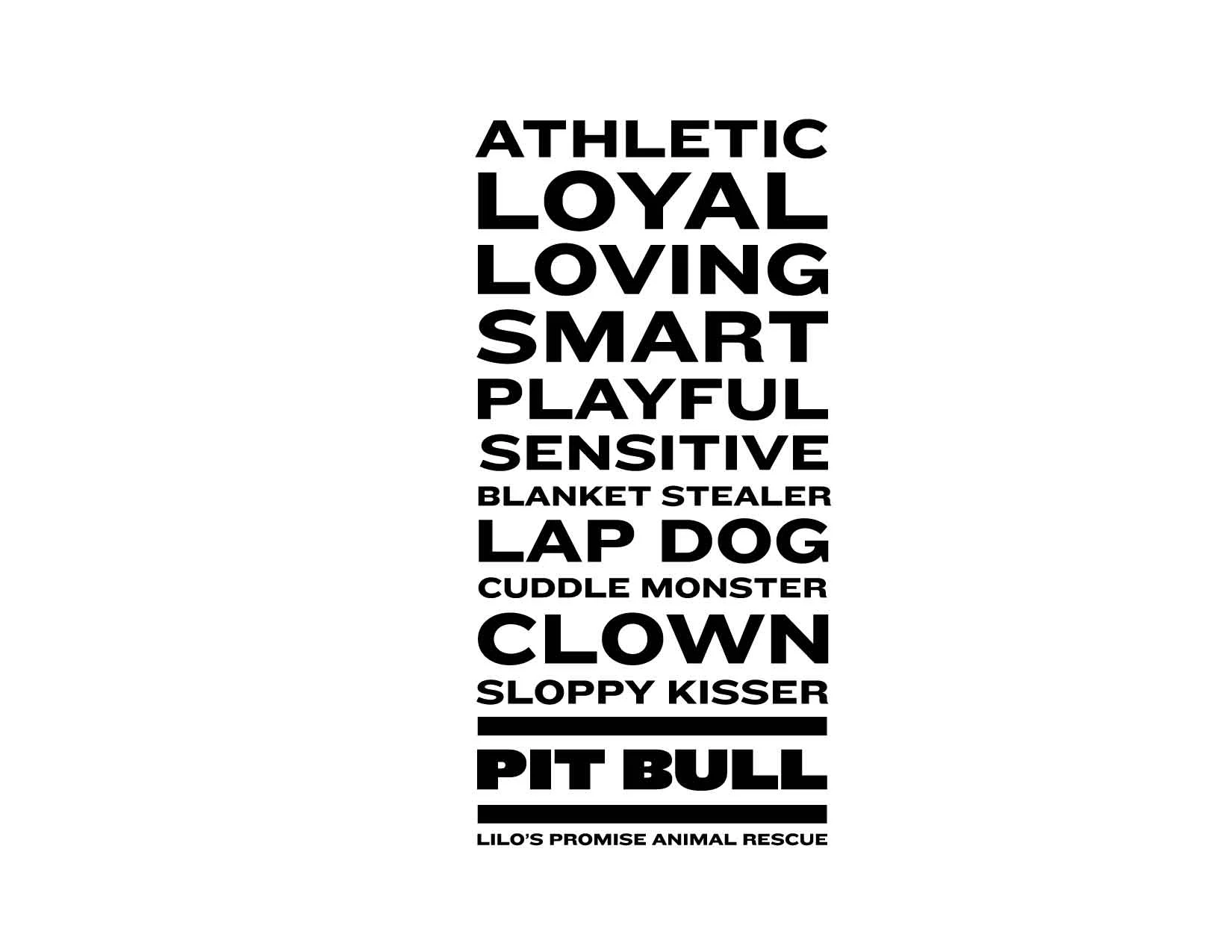 lilos_words_shirt_MECH-01.jpg